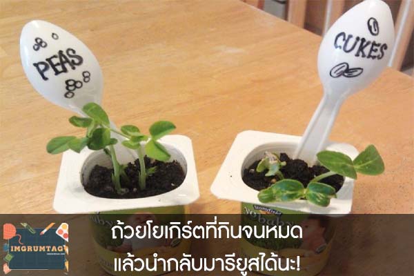 ถ้วยโยเกิร์ตที่กินจนหมดแล้วนำกลับมารียูสได้นะ!